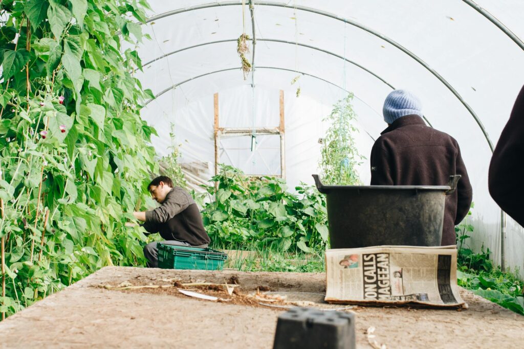 Farm jobs in the UK